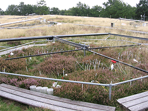 CLIMAITE open top CO2 chambers